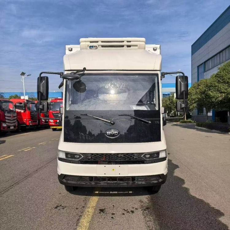 比亚迪T5EV 新能源冷藏车（100度电）